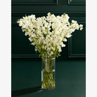 Marks & Spencer M&S Flower Market Delphinium Abundance Bouquet with Vase