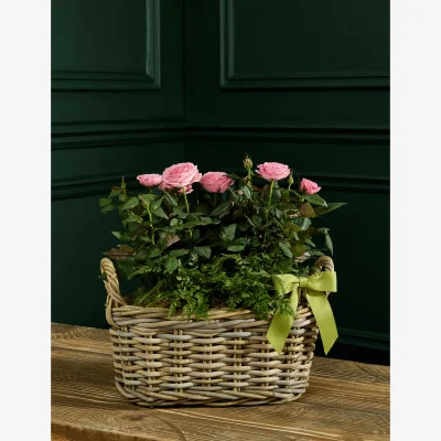 Marks & Spencer M&S Flower Market Mothers Day Mixed Rose Basket