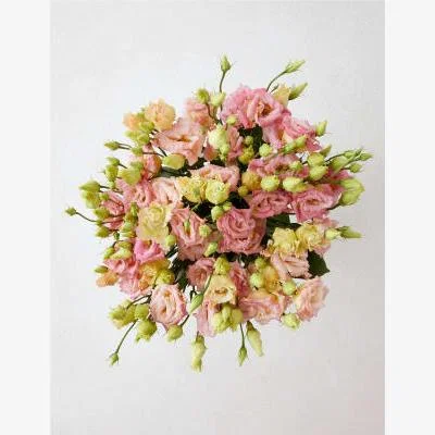 Marks & Spencer M&S  Salmon Lisianthus Flowers Bouquet (Delivery from 6th September 2022)