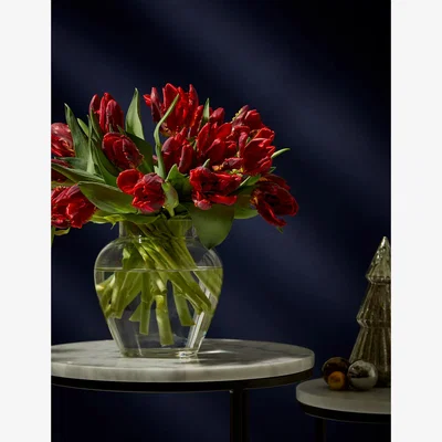 Marks & Spencer M&S Red Parrot Tulip Abundance Bouquet (Delivery from 29th November 2023)