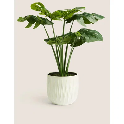 Marks & Spencer M&S Artificial Cheese Plant in Glazed Pot - Green, Green