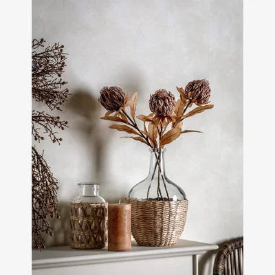 Marks & Spencer Gallery Home Set of 3 Artificial Dried Protea Single Stems - Ivory, Ivory