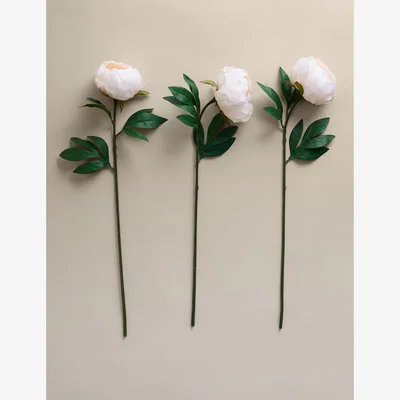 Marks & Spencer M&S Set of 3 Artificial Closed Peony Single Stems Cream
