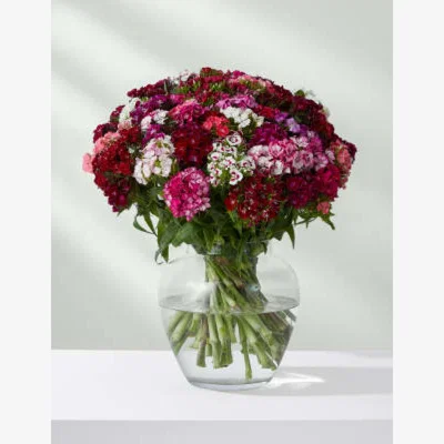 Marks & Spencer M&S Sweet Williams Flowers Bouquet