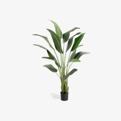 Marks & Spencer Blooming Artificial Artificial 7ft Strelitzia House Plant in Pot Green