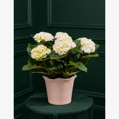 Marks & Spencer M&S Flower Market White Hydrangea in Ceramic Pot