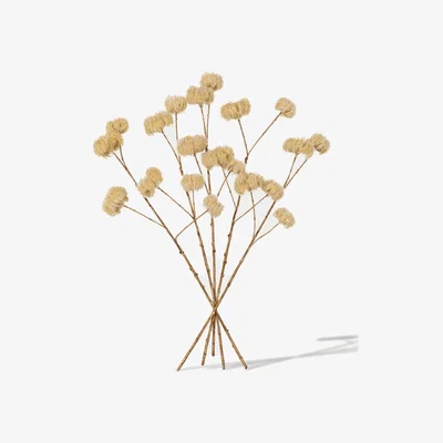 Marks & Spencer Gallery Direct Set of 5 Artificial Dried Clematis Stems - Cream, Cream