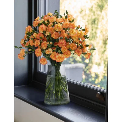 Marks & Spencer M&S Orange Spray Carnation Abundance