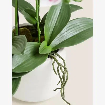 Marks & Spencer M&S Artificial Large Orchid Plant - Pink, Pink