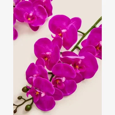 Marks & Spencer Moss & Sweetpea Set of 2 Artificial Orchid Single Stems - Purple, Purple,White