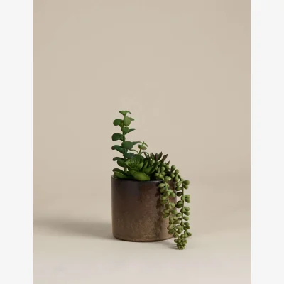 Marks & Spencer M&S Artificial Succulent Family in Reactive Glaze Pot Green