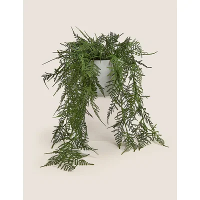 Marks & Spencer M&S Artificial Trailing Asparagus Fern In Pot - Green, Green