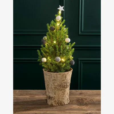 Marks & Spencer Flower Market Natural Decorated Christmas Tree in Birch Pot
