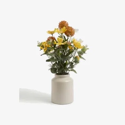 Marks & Spencer M&S Mixed Flower Arrangement in Ceramic Pot - Multi, Multi