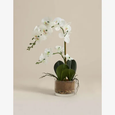 Marks & Spencer M&S Artificial Medium Orchid in Glass Pot White