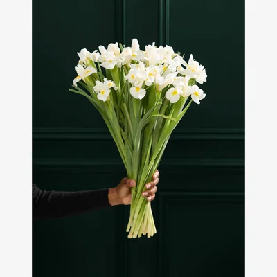 Marks & Spencer M&S Flower Market White Iris Letterbox Flowers