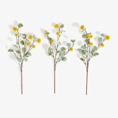 Marks & Spencer M&S Set of 3 Eucalyptus Erythrocorys Single Stems Orange