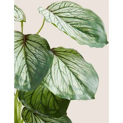 Marks & Spencer M&S Artificial House Plant - Green Mix, Green Mix