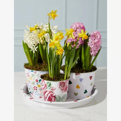 Marks & Spencer M&S Emma Bridgewater Bulb Collection