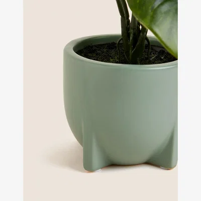 Marks & Spencer Moss & Sweetpea Artificial Monstera Plant in Ceramic Pot - Green, Green