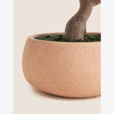 Marks & Spencer M&S Artificial Bonsai Tree in Concrete Pot - Green, Green