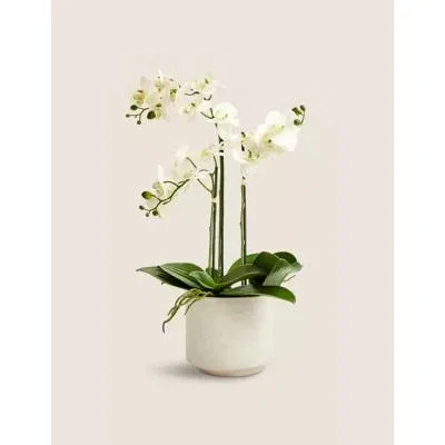 Marks & Spencer M&S Artificial Large Orchid Plant - White, White,Pink