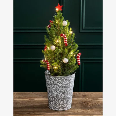 Marks & Spencer Flower Market White Decorated Christmas Tree in Tin Pot
