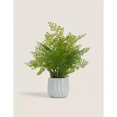 Marks & Spencer M&S Artificial Large Fern In Ceramic Pot - Green, Green
