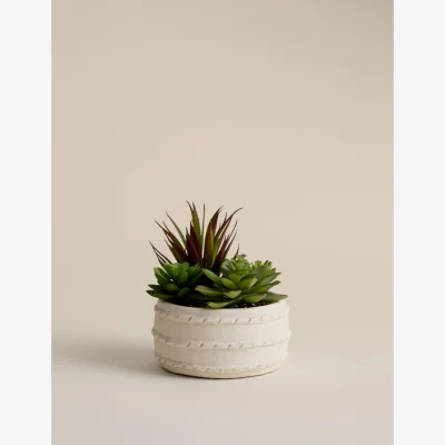 Marks & Spencer M&S Artificial Succulent in Ceramic Pot Natural