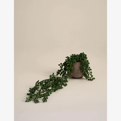 Marks & Spencer Moss & Sweetpea Artificial String Of Hearts in Textured Ceramic Pot - Brown, Brown