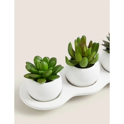 Marks & Spencer M&S Set of 3 Artificial Succulents - Green Mix, Green Mix