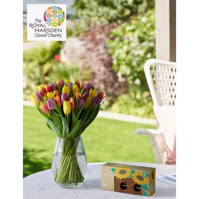 Marks & Spencer The Royal Marsden Cancer Charity Sun Flowering Charity Brick & Rainbow Tulip Bundle