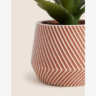 Marks & Spencer M&S Artificial Aloe Vera Plant in Concrete Pot - Red, Red