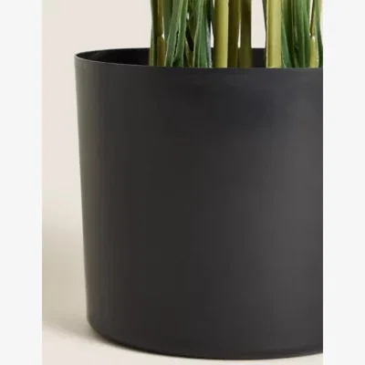 Marks & Spencer M&S Artificial Floor Standing Palm with Pot - Green, Green