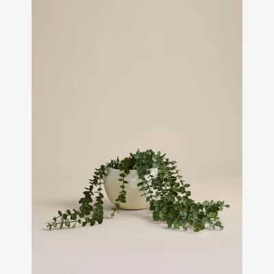 Marks & Spencer M&S Artificial String of Hearts in Cement Pot Green