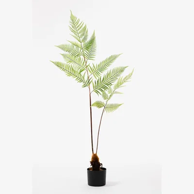 My Furniture Large Artificial Fern Plant