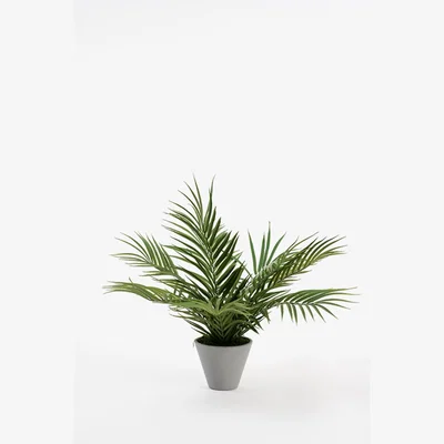 My Furniture Potted Artificial Palm Plant