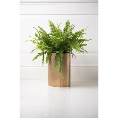 My Furniture Oval Bin/Planter - Brass