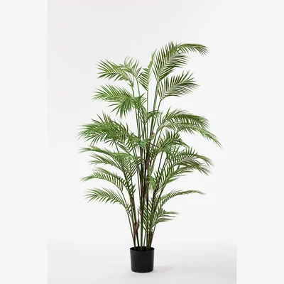 My Furniture Large Artificial Kentia Palm
