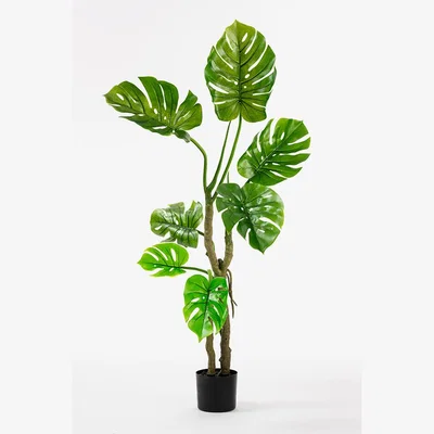 My Furniture Large Artificial Cheese Plant