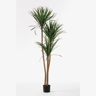 My Furniture Large Artificial Draceana Plant