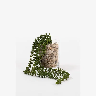 My Furniture Artificial String of Pearls Vine