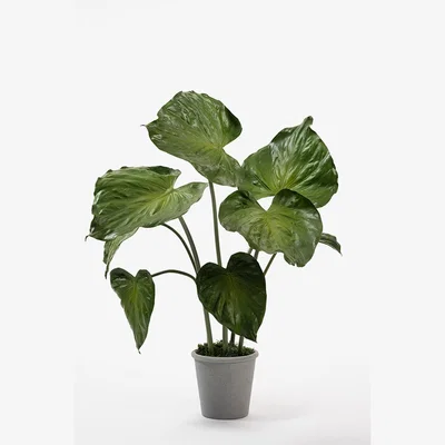 My Furniture Potted Artificial Elephants Ear Plant