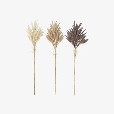 Made in Design Artificial dried flowers - / Set of 3 - H 80 cm by Bloomingville Brown/Beige