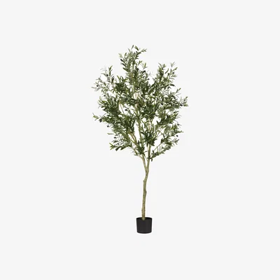 OKA OKA, Faux Potted Olive Tree - Large - Black, Faux Tree