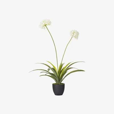 OKA OKA, Faux Agapanthus Stem - White, Floral Stems, Bamboo
