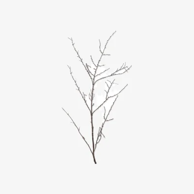 OKA OKA, Faux Spiky Twig - Brown, Faux Flower Stem
