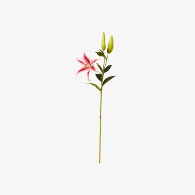 OKA OKA, Faux Stargazer Lily Stem - Pink, Floral Stems, Fabric/Plastic