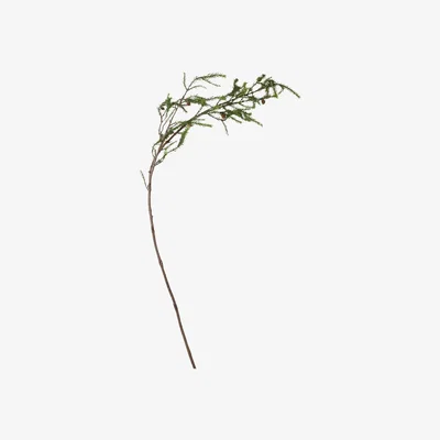 OKA OKA, Faux Fir Branch With Pinecones - Green, Floral Stems, Fabric/Plastic
