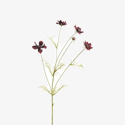 OKA OKA, Faux Cosmos Stem - Burgundy, Faux Flower Stem